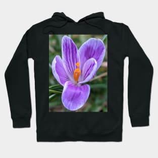 Purple, Orange and White Flower 4 Hoodie